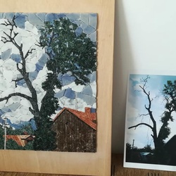 CreatiileMirelei