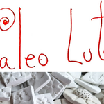PaleoLut