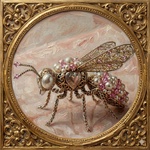 JewelWasp