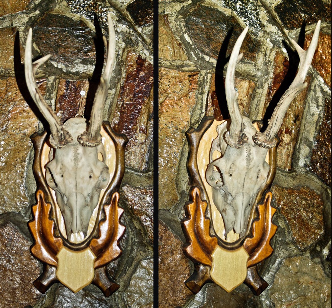 panoplie pentru caprior - jucării și echipamente pentru copii - accesorii sport - accesorii pentru vânătoare - Artynos.ro