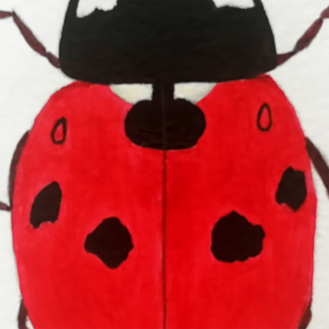 Ilustratie Pictura Tablou Buburuza in Acuarele pe Hartie - arte vizuale și accesorii  - picturi - acuarele picturi - Artynos.ro