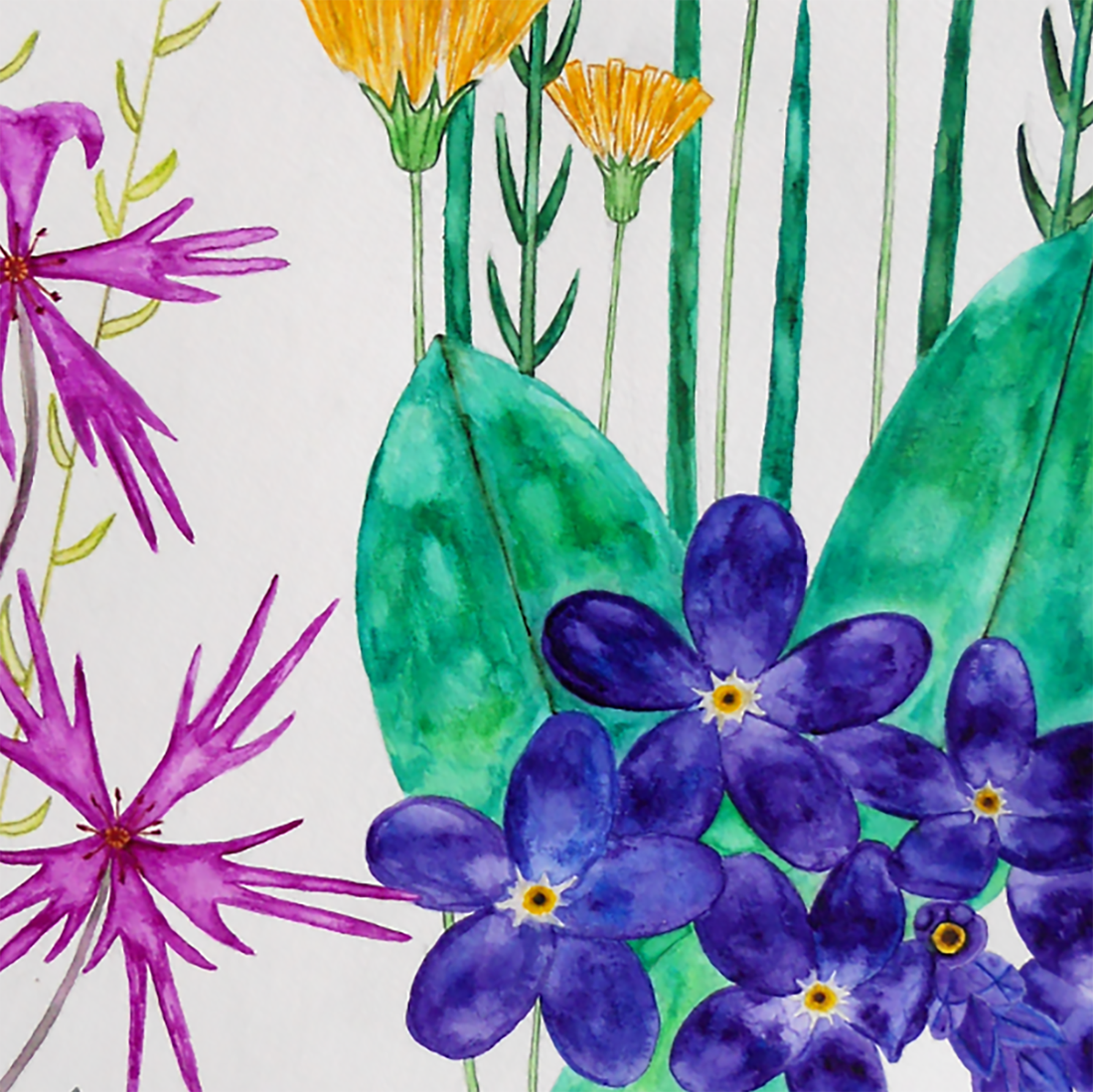 Ilustratie Pictura Tablou Acuarele Flori de Camp Galbene, Roz si Violet - arte vizuale și accesorii  - picturi - acuarele picturi - Artynos.ro