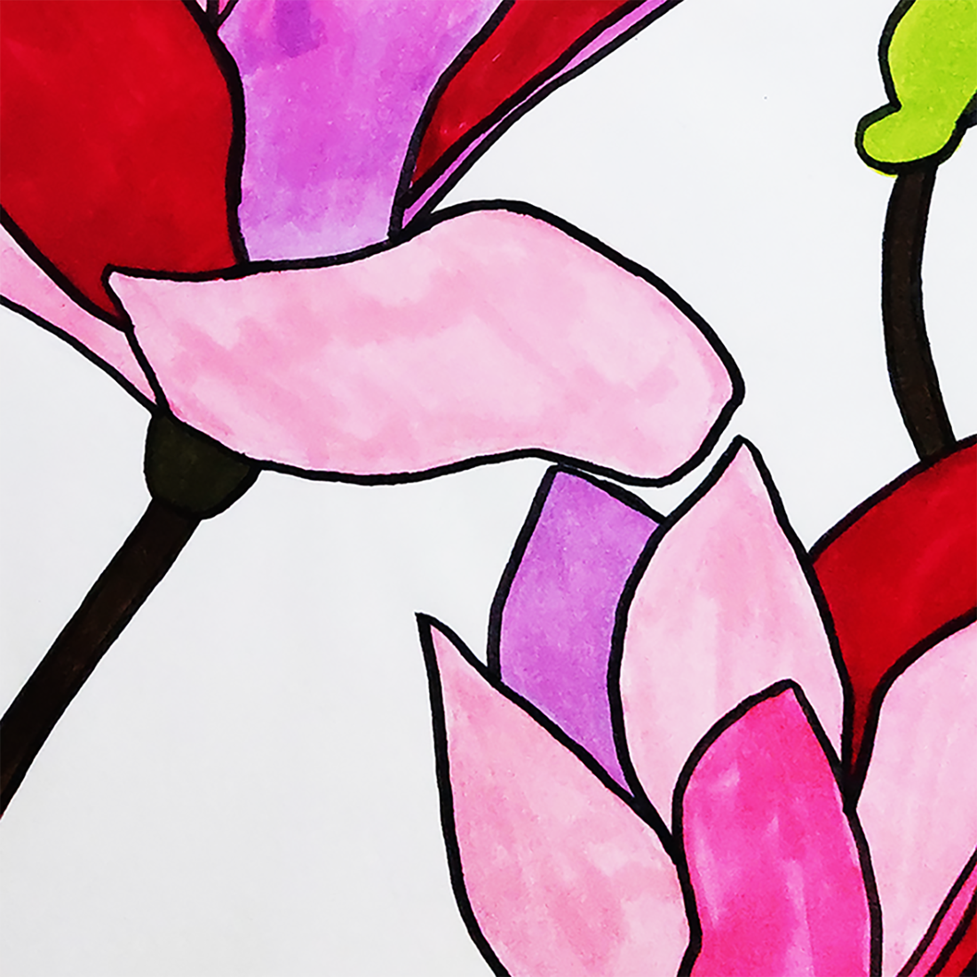 Ilustratie Desen Tablou Markere Flori Magnolii Roz, Rosii si Violet - arte vizuale și accesorii  - grafică, ilustrație - alte desene - Artynos.ro