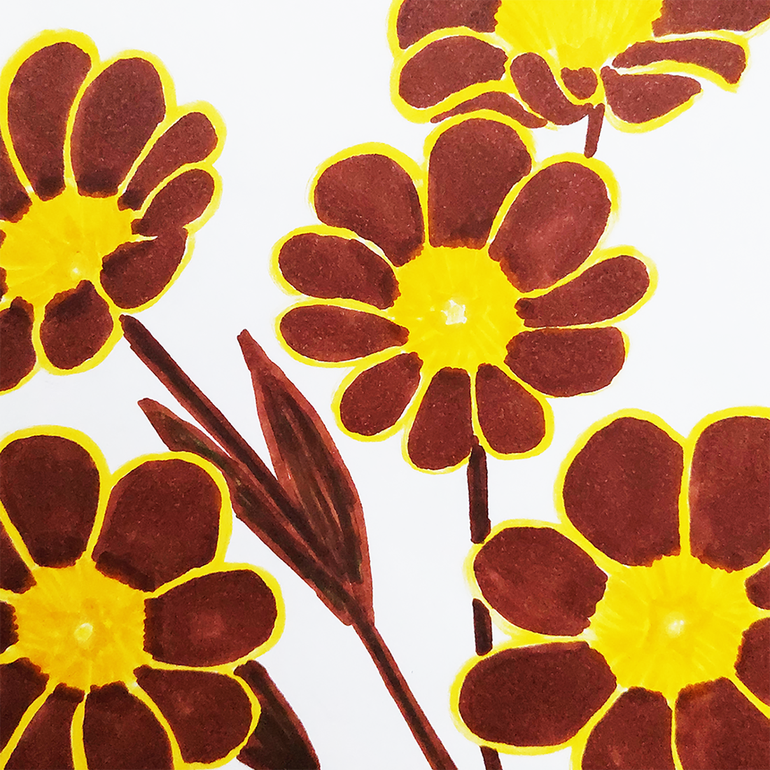 Ilustratie Desen Tablou Markere Flori Primula Maro si Galben - arte vizuale și accesorii  - grafică, ilustrație - alte desene - Artynos.ro