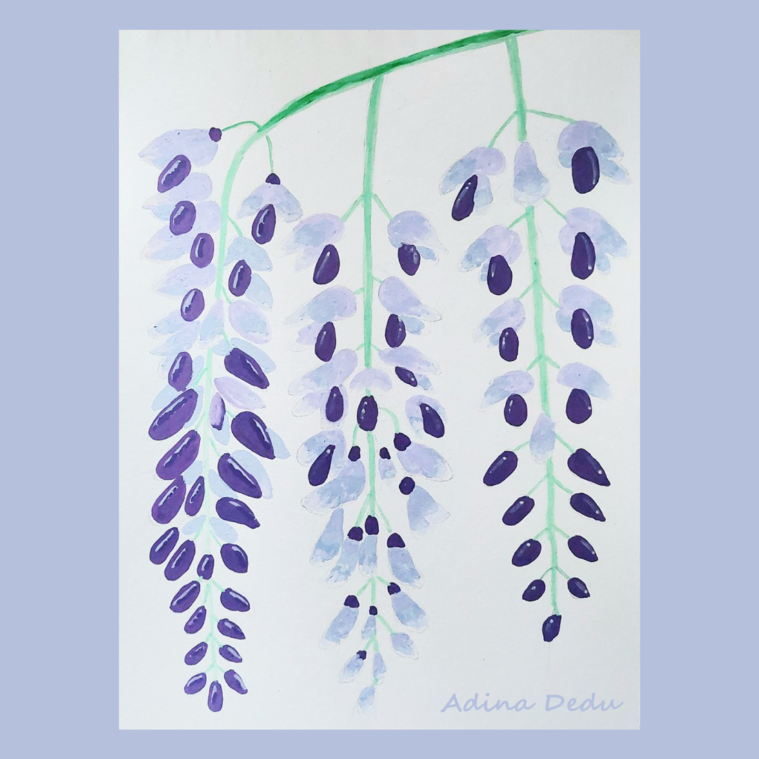 Tablou Ilustratie Flori Glicină Violet - arte vizuale și accesorii  - grafică, ilustrație - alte desene - Artynos.ro