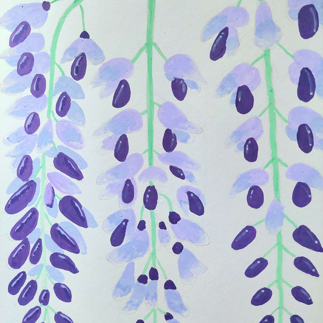 Tablou Ilustratie Flori Glicină Violet - arte vizuale și accesorii  - grafică, ilustrație - alte desene - Artynos.ro