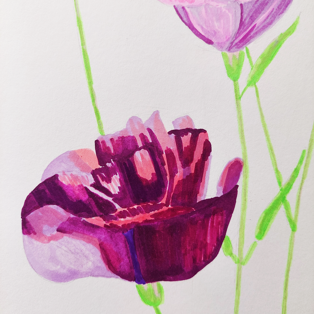 Tablou Ilustratie Flori Lisianthus/Eustoma Roz, Violet și Bordeaux - arte vizuale și accesorii  - grafică, ilustrație - alte desene - Artynos.ro
