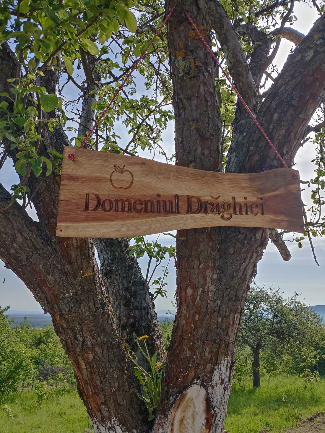 Semn adresa casa sau panou descriere - casă & stil de viață - decorațiuni de casă - decorațiuni de pereți - placă decorativă - Artynos.ro