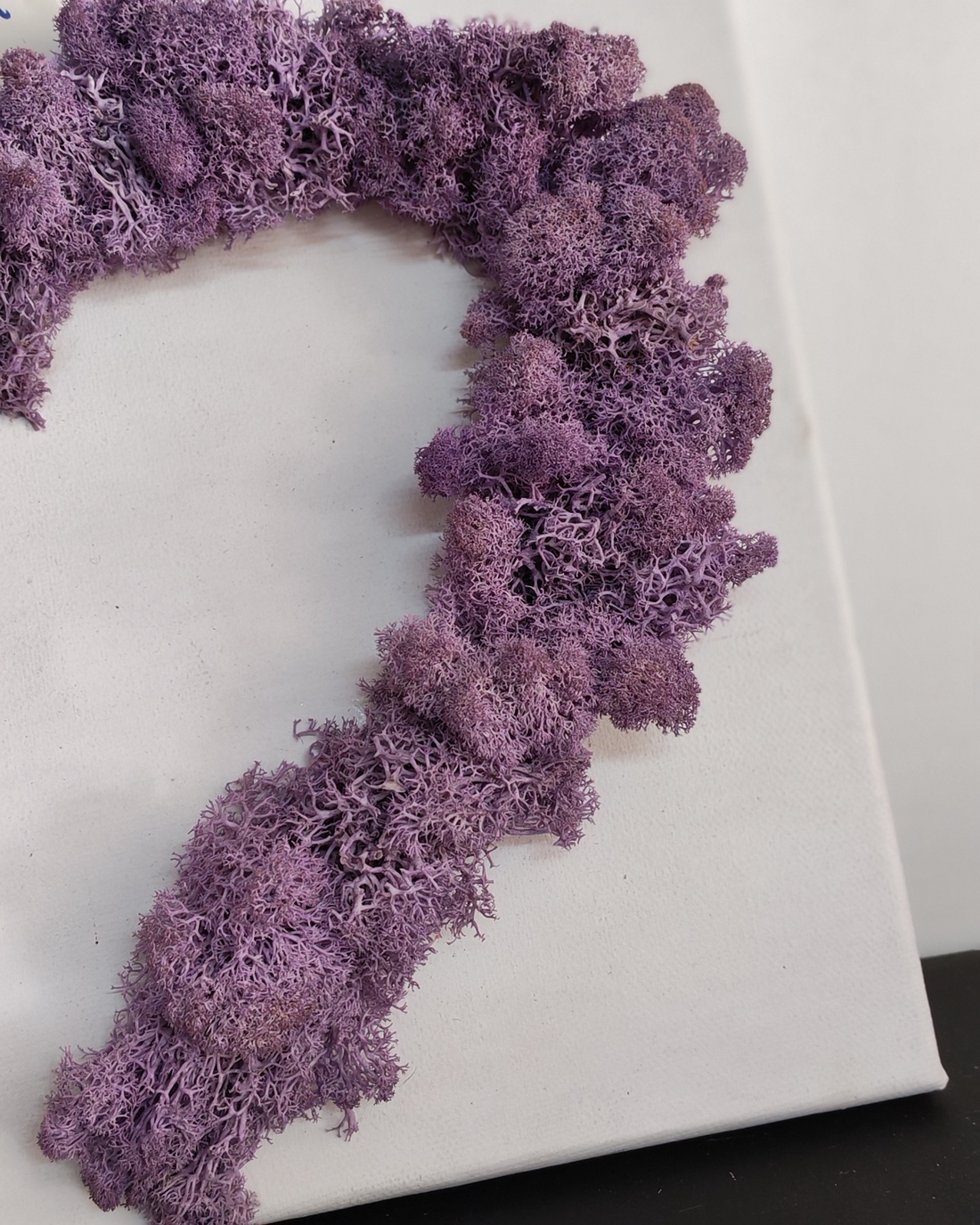 Tablou inimă cu licheni stabilizați  - casă & stil de viață - decorațiuni de casă - decorațiuni de pereți - tablou cu licheni - Artynos.ro