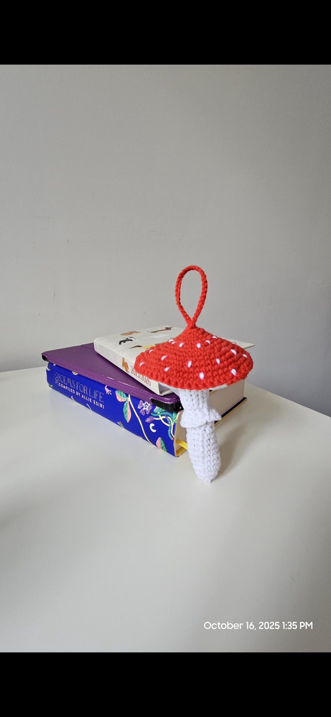 Ciupercuță - casă & stil de viață - accesorii pentru decorat casa - decorațiuni de masă și decorațiuni pentru rafturi  - decorațiuni de masă - Artynos.ro