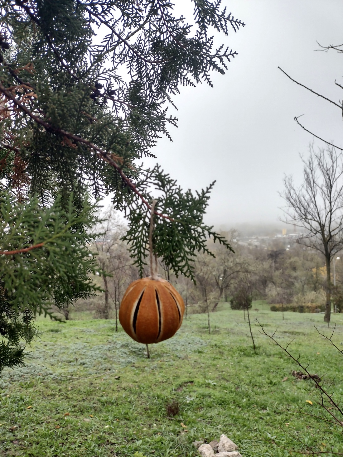 6 globuri naturale portocală uscată - crăciun - decorațiuni de crăciun de casă - globuri de crăciun - Artynos.ro