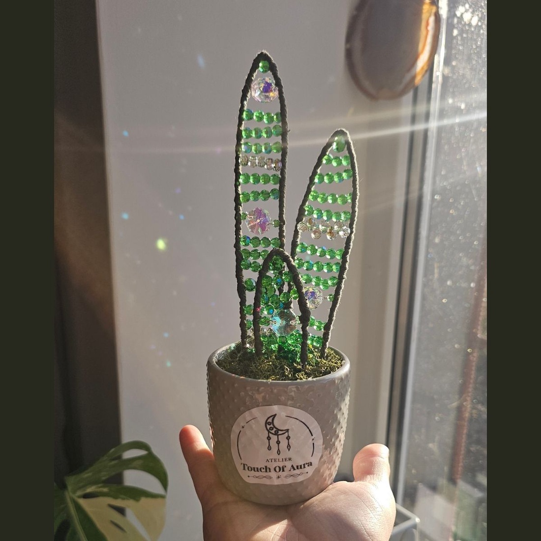 Mini Planta din Cristale - Snake Plant - Suncatcher - casă & stil de viață - decorațiuni de casă - accesorii florale - ghiveci de plante - Artynos.ro