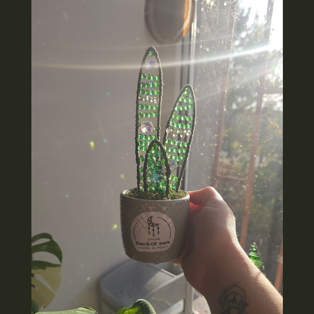 Mini Planta din Cristale - Snake Plant - Suncatcher - casă & stil de viață - decorațiuni de casă - accesorii florale - ghiveci de plante - Artynos.ro