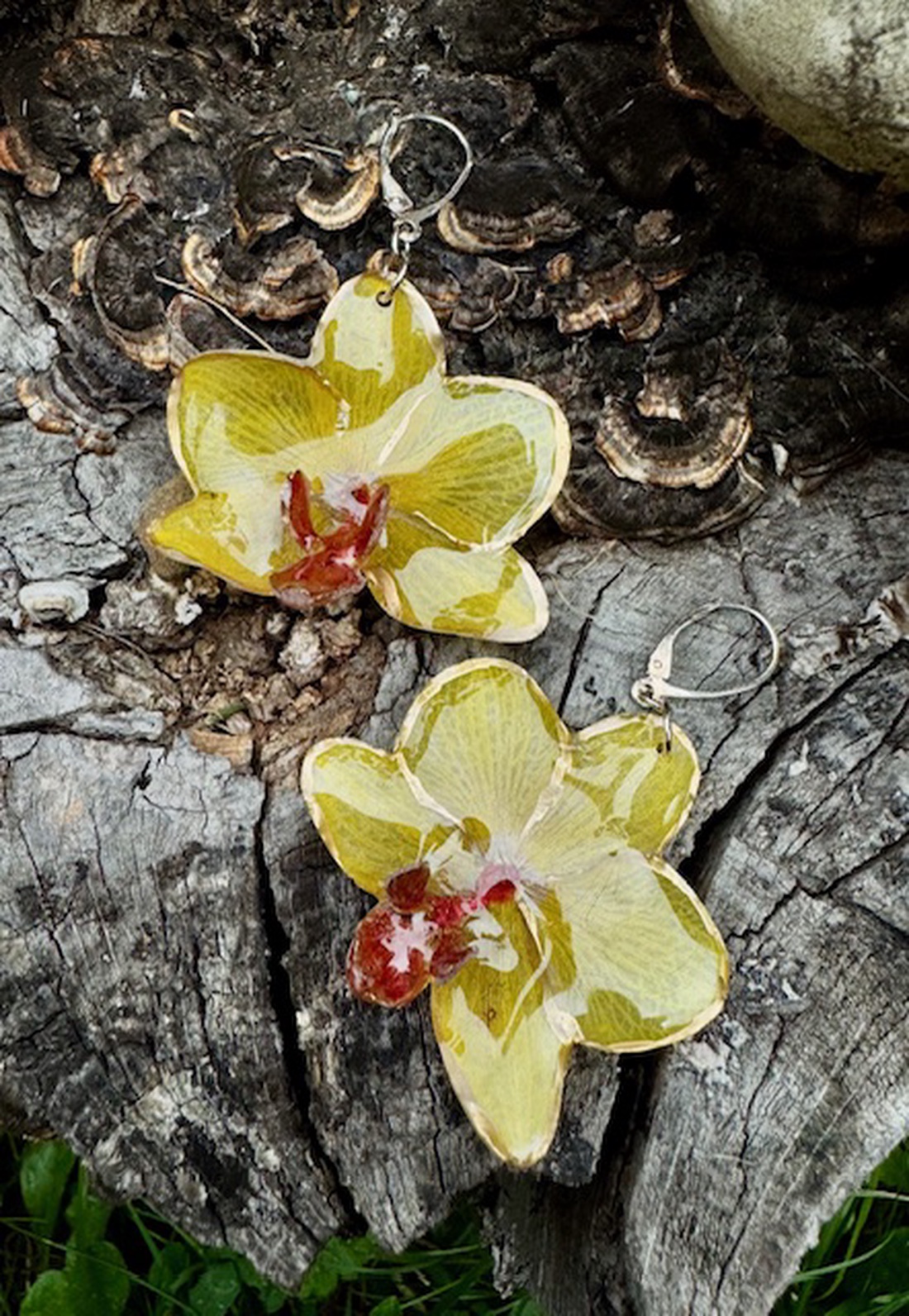 Cercei argint 925 din rasina si flori naturale - Orhidee - bijuterii - cercei - cercei din argint - Artynos.ro Cercei argint 925 din rasina si flori naturale - Orhidee - bijuterii - cercei - cercei din argint - Artynos.ro
