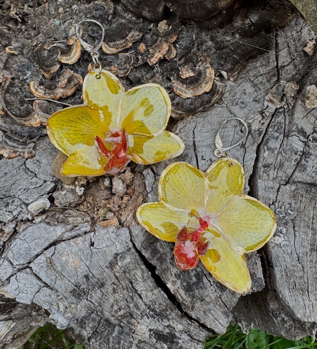 Cercei argint 925 din rasina si flori naturale - Orhidee - bijuterii - cercei - cercei din argint - Artynos.ro Cercei argint 925 din rasina si flori naturale - Orhidee - bijuterii - cercei - cercei din argint - Artynos.ro