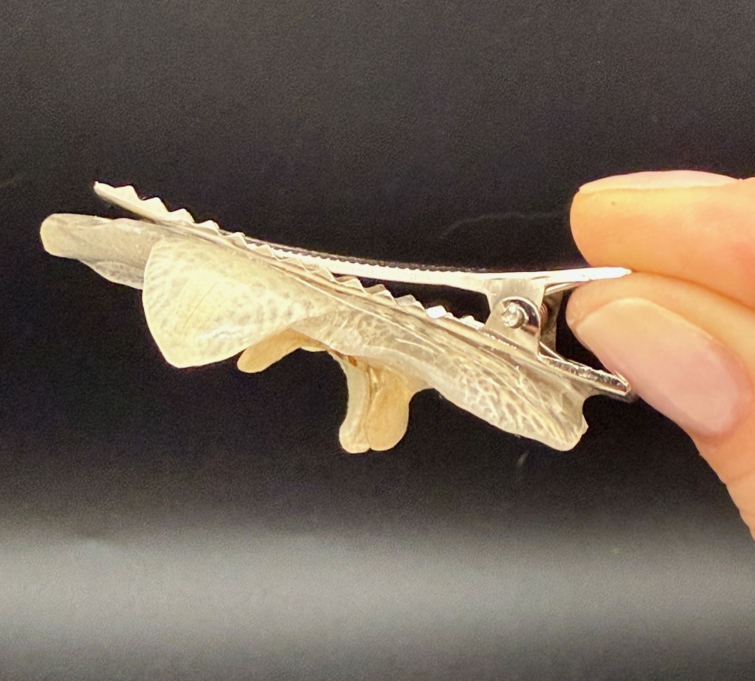 Agrafă de Păr cu Orhidee Naturală Albă � Accesoriu Elegant - îmbrăcăminte și modă - accesorii păr - bandă de păr și agrafe păr - Artynos.ro