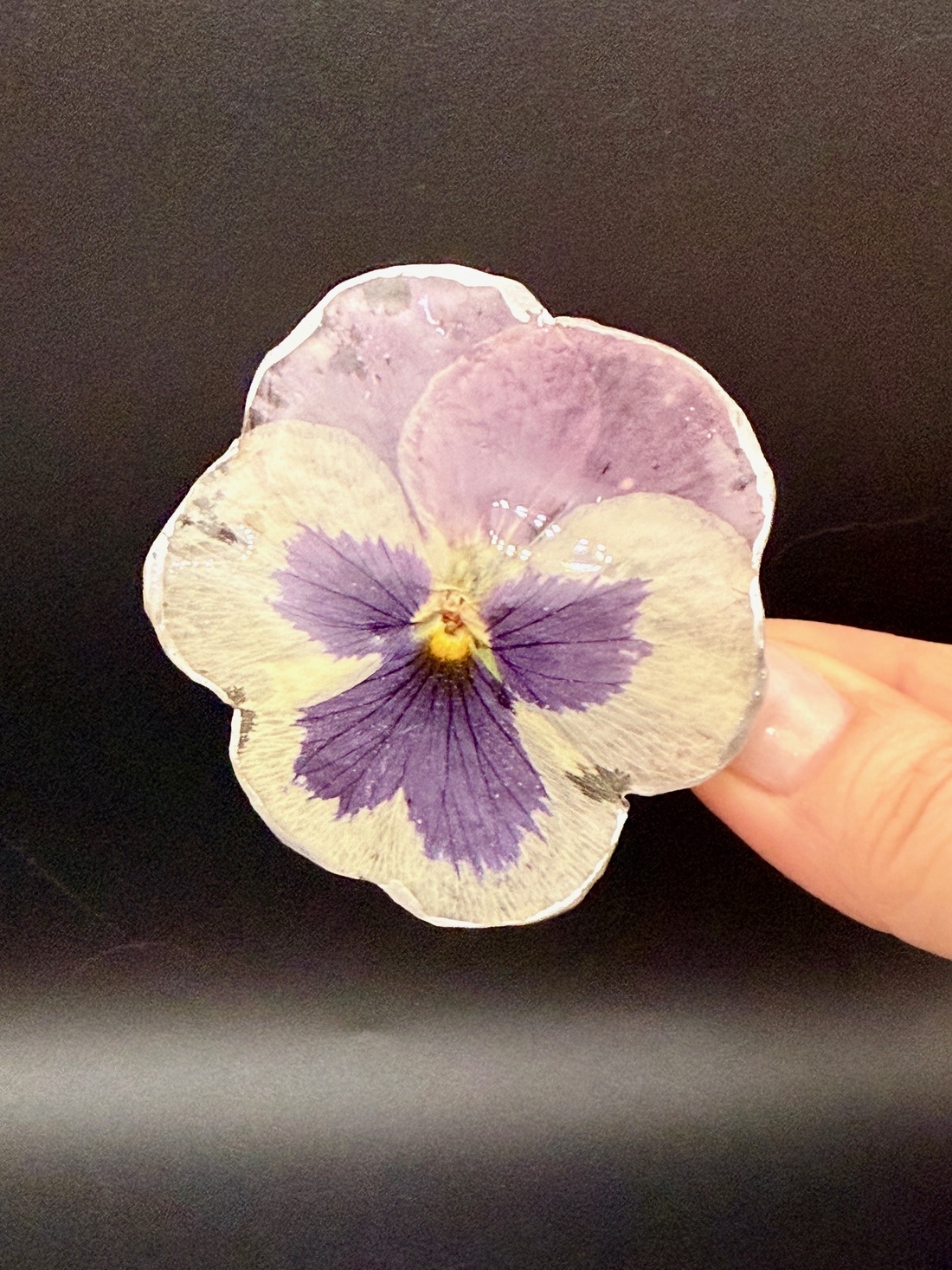 Agrafă de Păr cu Panseluță Naturală � Accesoriu Botanic - îmbrăcăminte și modă - accesorii păr - bandă de păr și agrafe păr - Artynos.ro