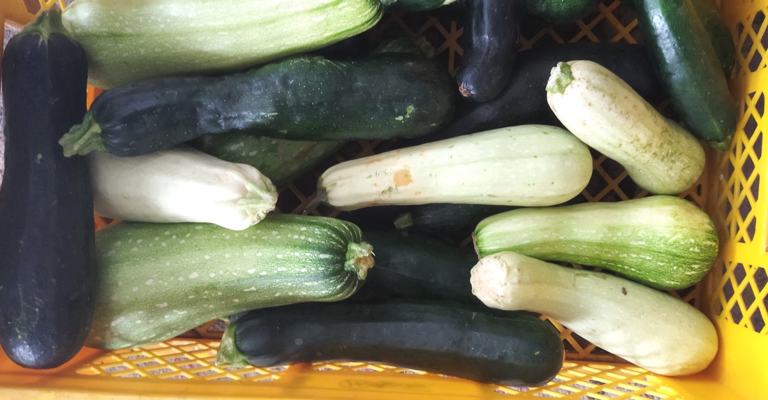 Dovlecei Si Zuchini - alimente - fructe, legume - Artynos.ro Dovlecei Si Zuchini - alimente - fructe, legume - Artynos.ro