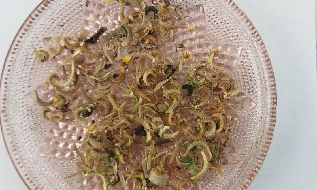 Seminte pentru plantat galbenele(Calendula officinalis) - casă & stil de viață - accesorii pentru casă și grădină - cultivarea plantelor - Artynos.ro Seminte pentru plantat galbenele(Calendula officinalis) - casă & stil de viață - accesorii pentru casă și grădină - cultivarea plantelor - Artynos.ro