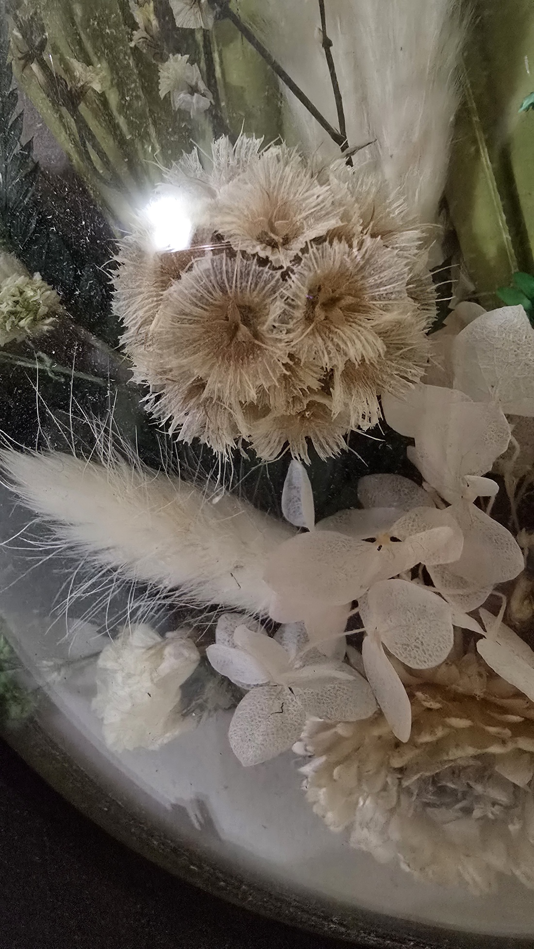 Tablou rotund realizat manual cu flori naturale criogenate - casă & stil de viață - decorațiuni de casă - decorațiuni de pereți - decorațiuni cu licheni - Artynos.ro