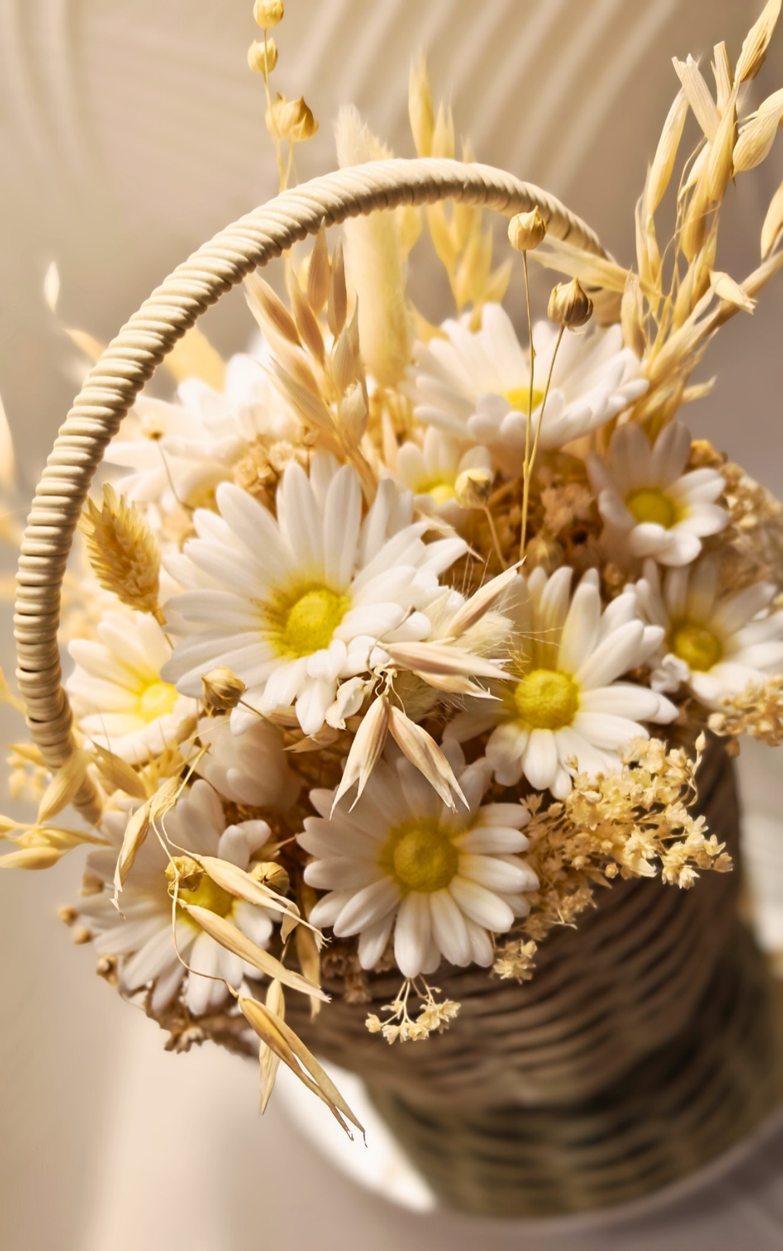 Coșuleț Câmp cu Margarete - casă & stil de viață - decorațiuni de casă - accesorii florale - flori în ghiveci - Artynos.ro