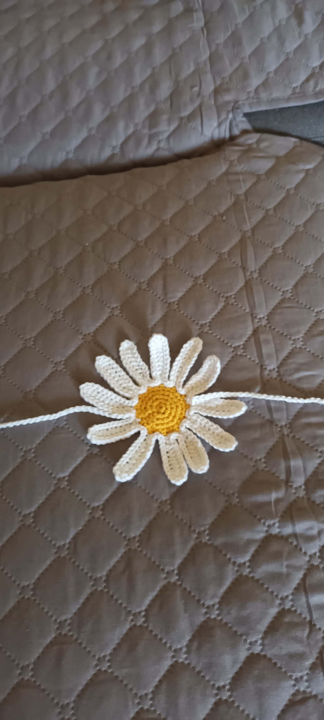 Daisy -  - Artynos.ro