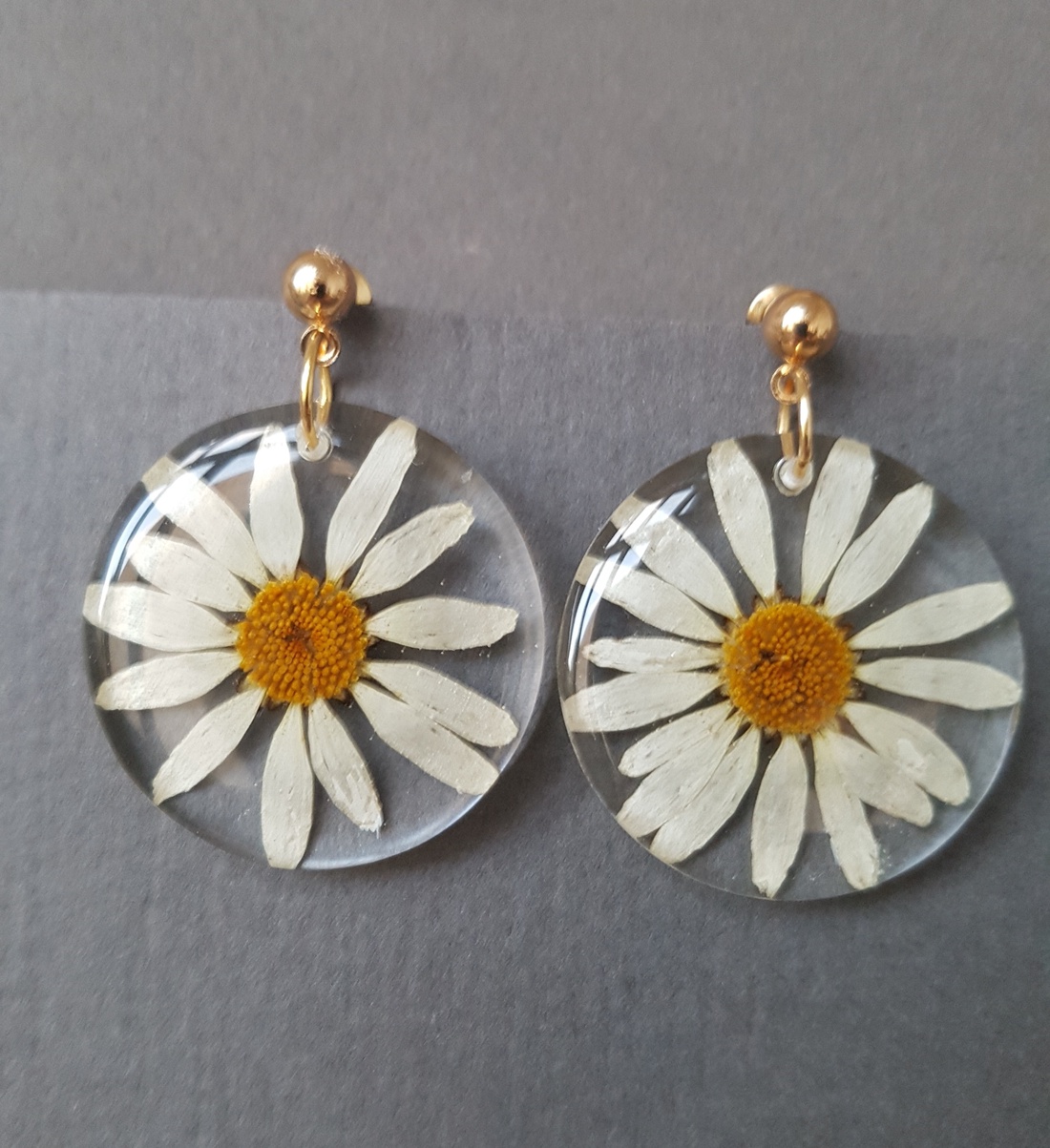 Cercei lungi cu flori margarete naturale cercei din rasina cercei moderni cercei cu flori de margarete cercei hippie - bijuterii - cercei - cercei drop - Artynos.ro Cercei lungi cu flori margarete naturale cercei din rasina cercei moderni cercei cu flori de margarete cercei hippie - bijuterii - cercei - cercei drop - Artynos.ro