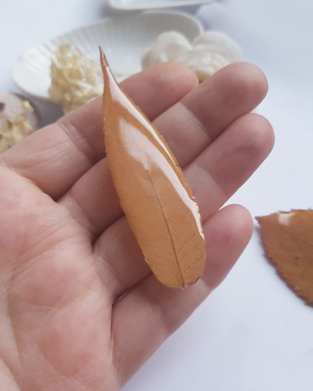 Brosa din frunza naturala brosa din rasina Cadou iubitoare natura padure cadou inedit toamna secret santa craciun - bijuterii - broșe - Artynos.ro Brosa din frunza naturala brosa din rasina Cadou iubitoare natura padure cadou inedit toamna secret santa craciun - bijuterii - broșe - Artynos.ro