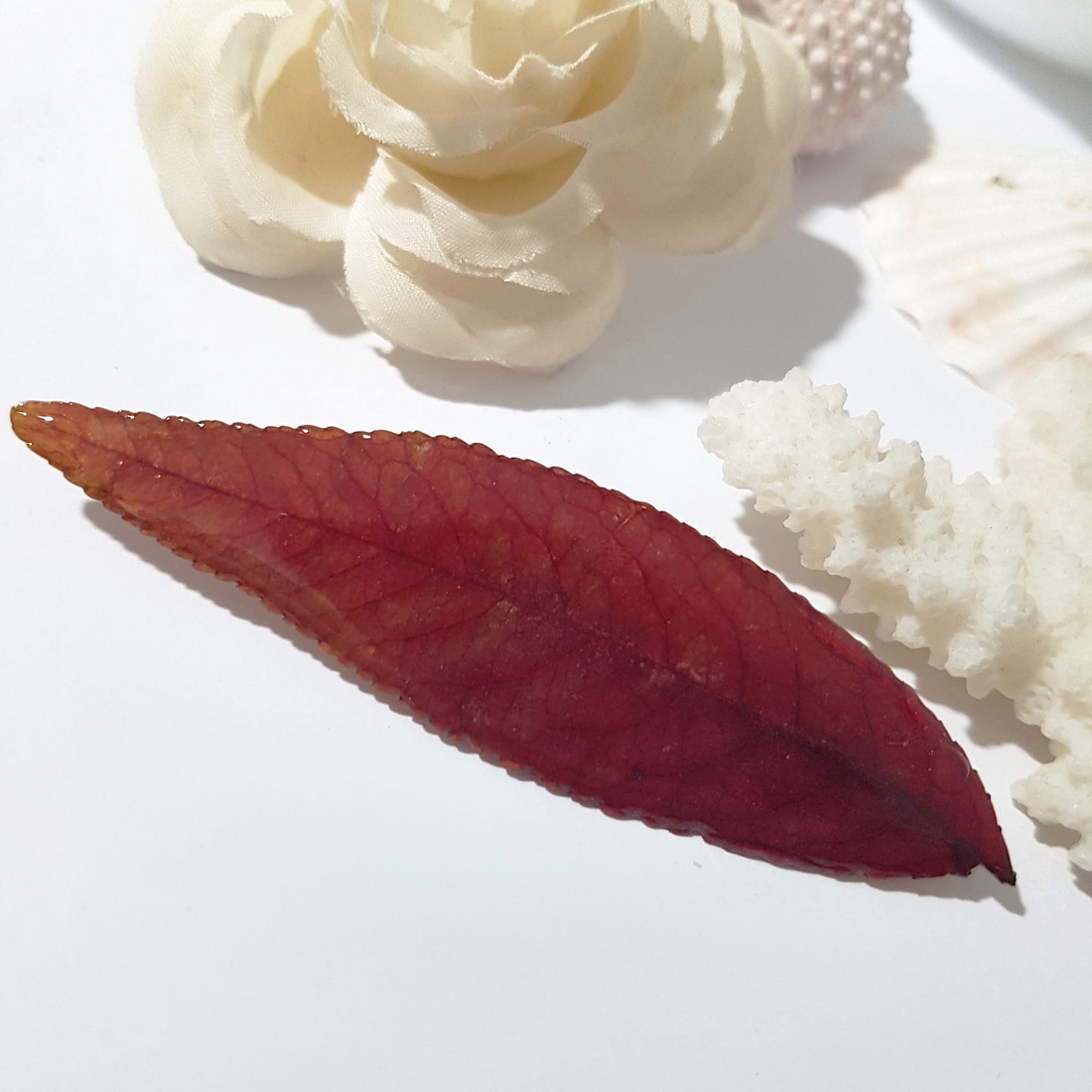 Brosa din frunza naturala brosa din rasina Cadou iubitoare natura padure cadou inedit toamna secret santa craciun - bijuterii - broșe - Artynos.ro