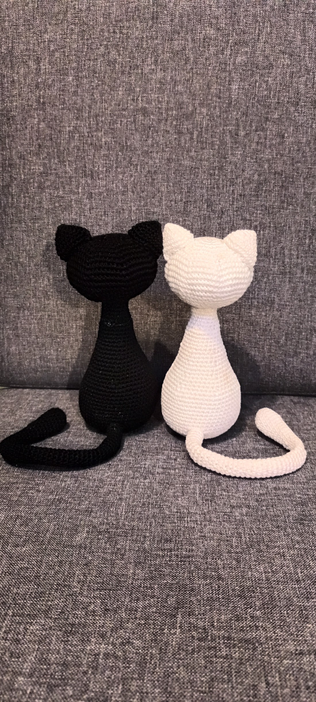 Pisicuțe -  - Artynos.ro