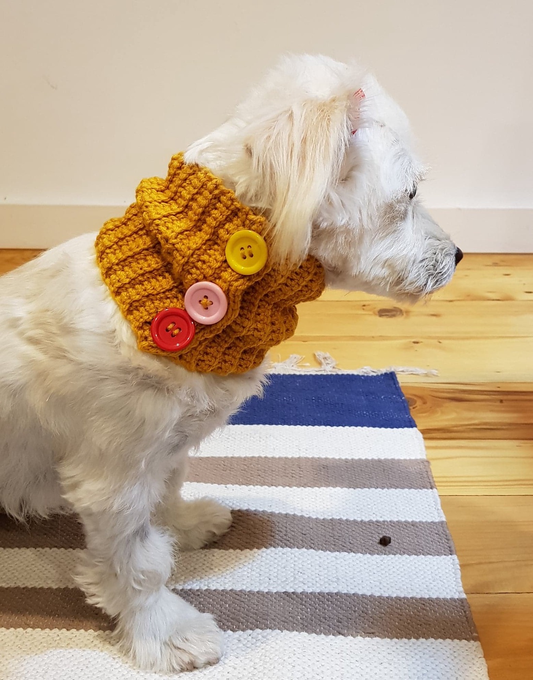 Guler Catel - casă & stil de viață - accesorii pentru animale - paturi și echipamente câini - colier de câine, set de lesă - Artynos.ro Guler Catel - casă & stil de viață - accesorii pentru animale - paturi și echipamente câini - colier de câine, set de lesă - Artynos.ro