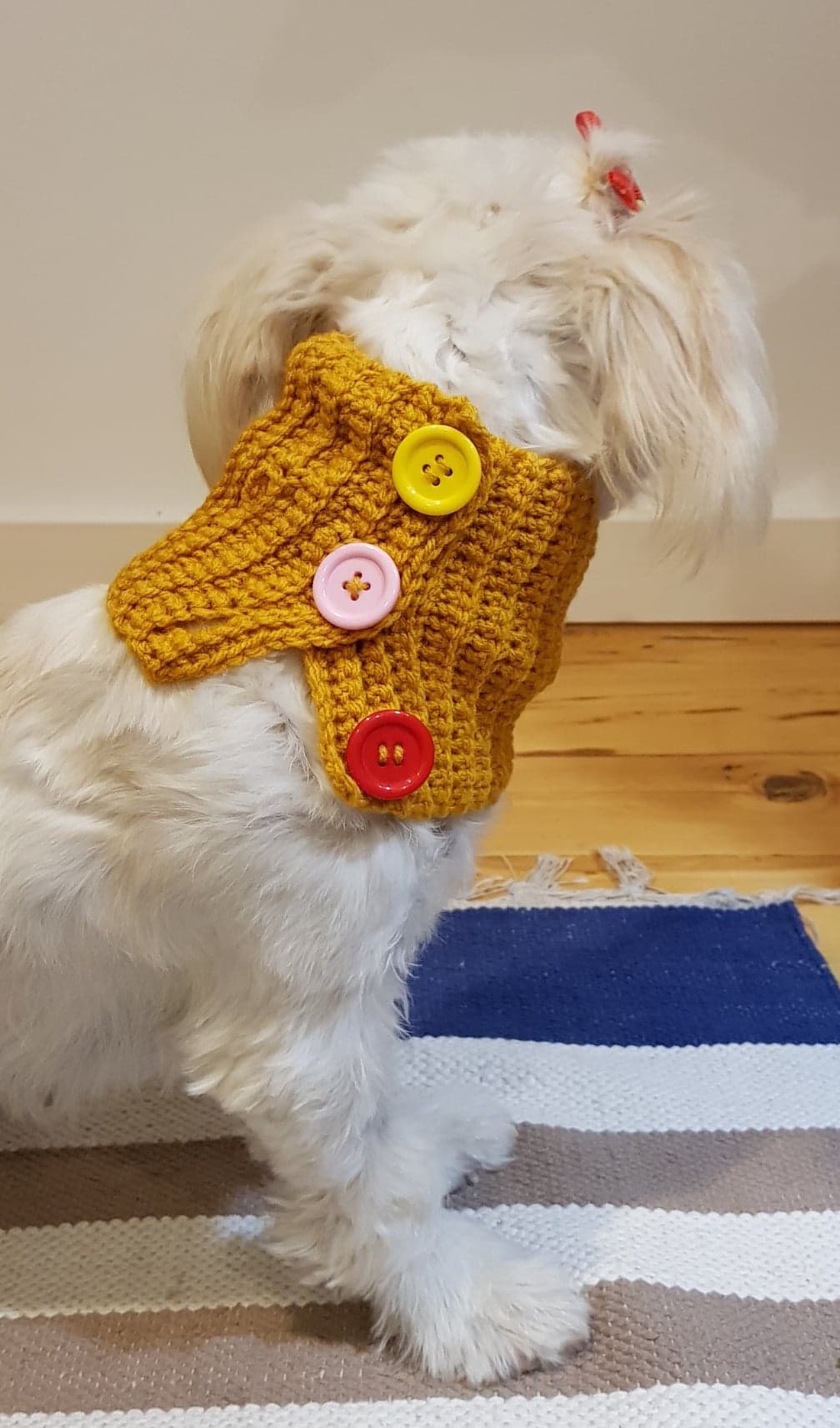 Guler Catel - casă & stil de viață - accesorii pentru animale - paturi și echipamente câini - colier de câine, set de lesă - Artynos.ro Guler Catel - casă & stil de viață - accesorii pentru animale - paturi și echipamente câini - colier de câine, set de lesă - Artynos.ro