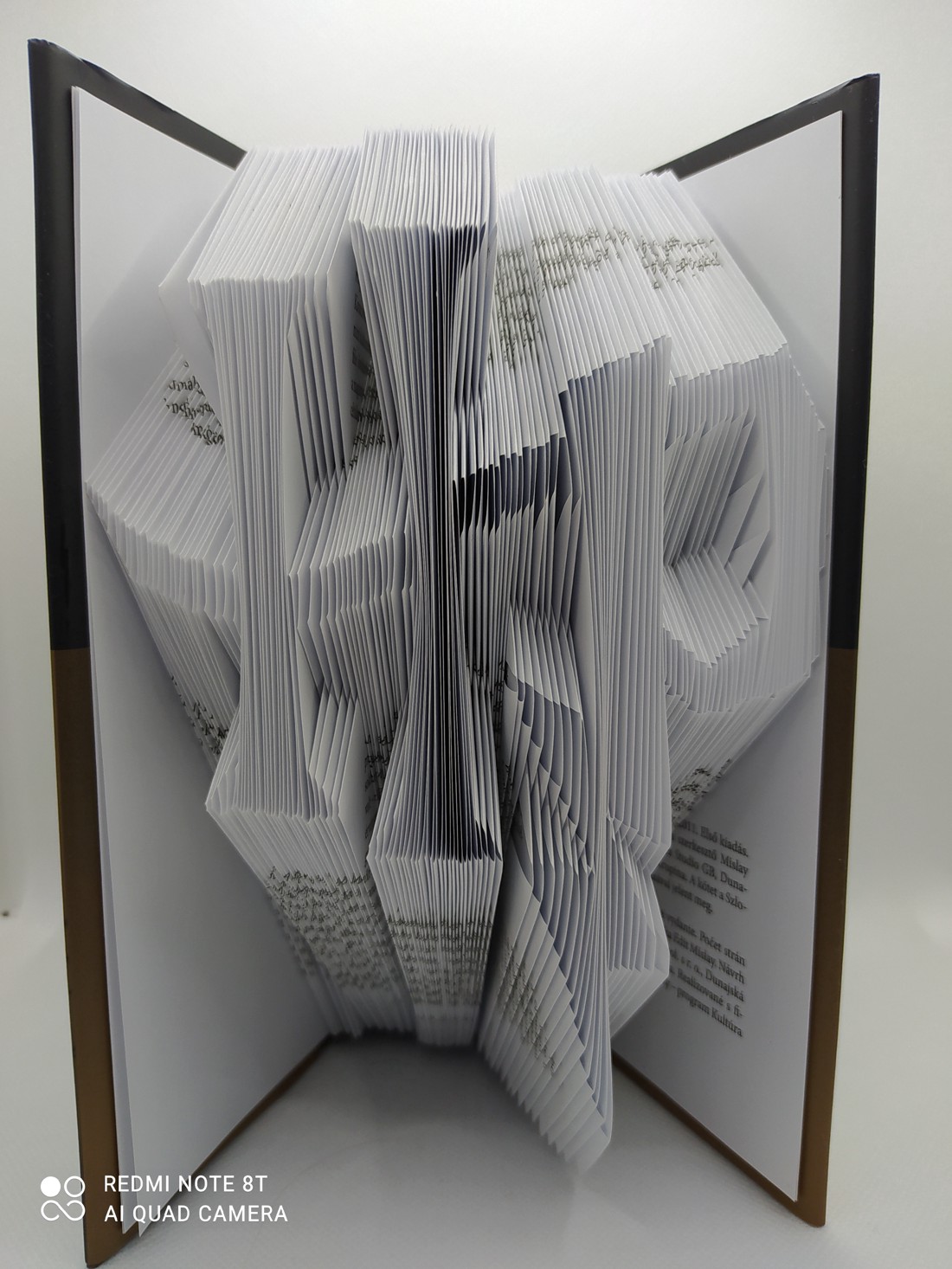 Sculptură de carte Harry Potteres - casă & stil de viață - accesorii pentru decorat casa - decorațiuni de masă și decorațiuni pentru rafturi  - sculptură de carte, carte pliată - Artynos.ro