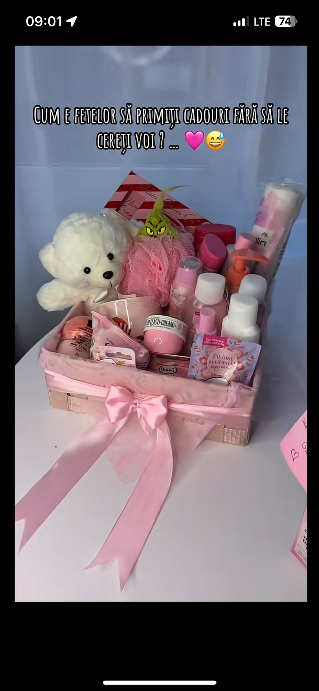 Cosulet pentru fete! - crăciun - cadouri de moș crăciun - cadouri de moș crăciun - Artynos.ro