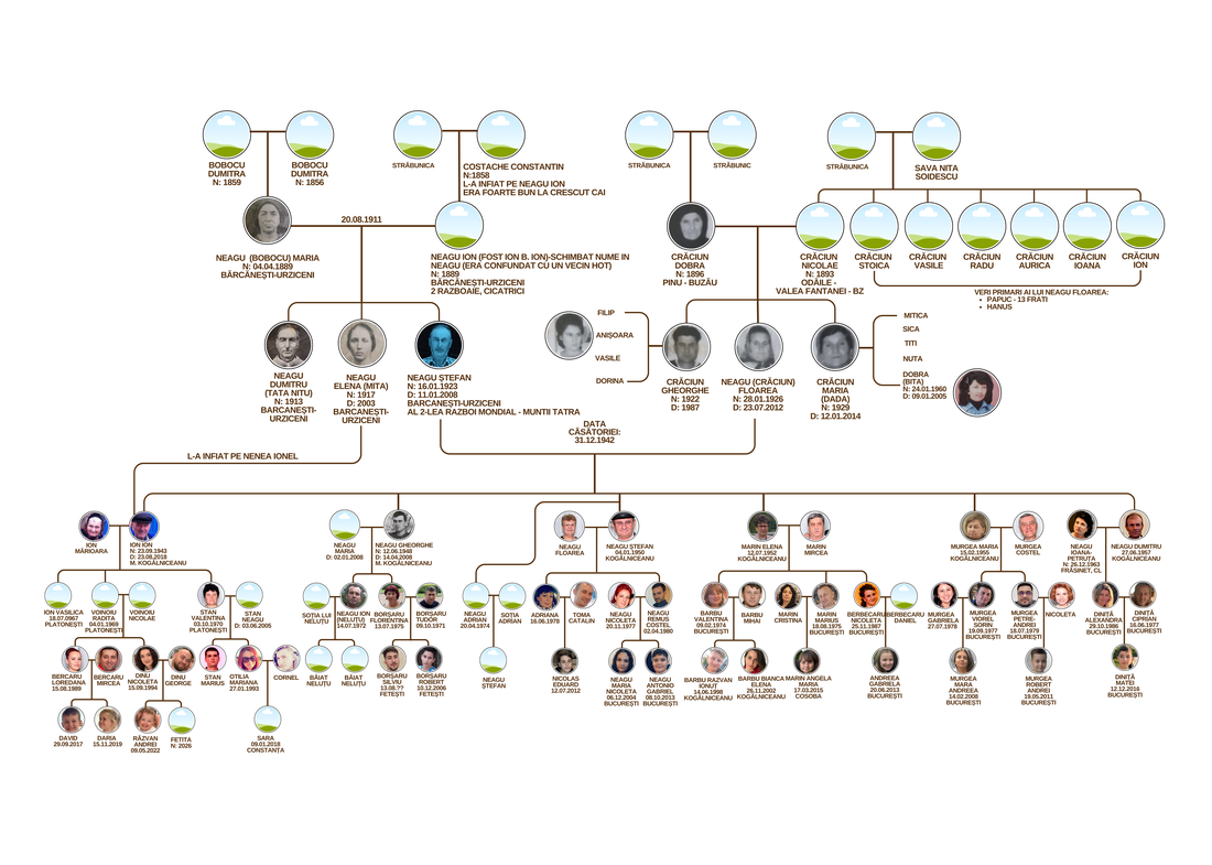 Arbore genealogic - cadou cununie, nunta, aniversare parinti, bunici, strabunici -  - Artynos.ro