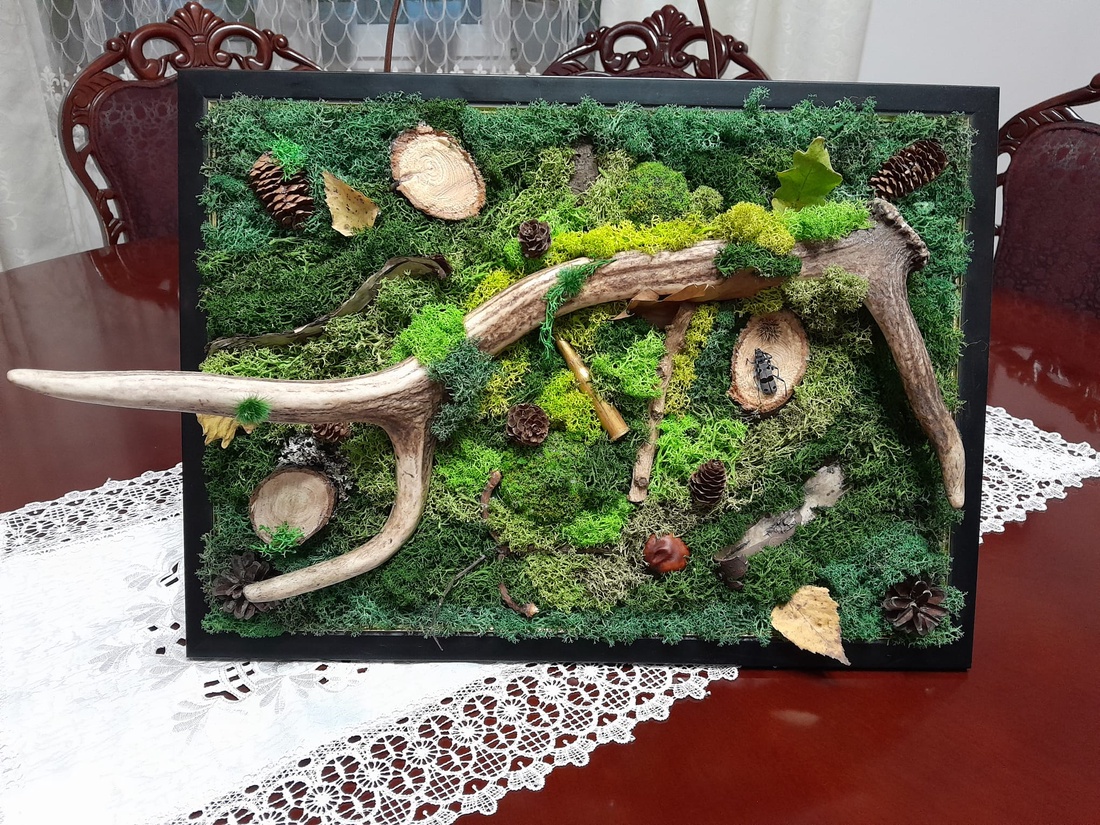 Trofeu mare - casă & stil de viață - accesorii pentru decorat casa - decorațiuni de pereți, decorațiuni suspendate - decorațiuni cu licheni - Artynos.ro