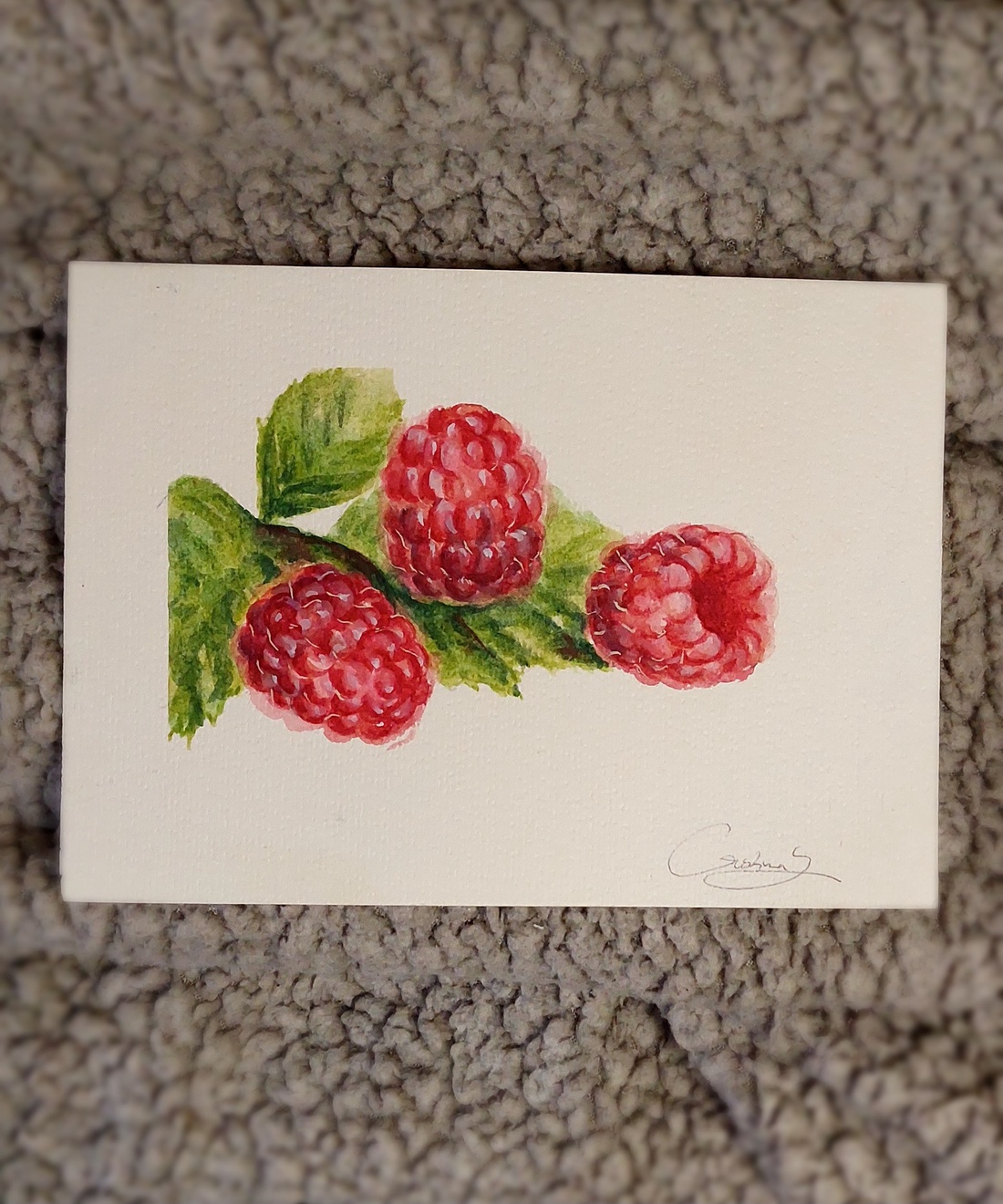 Pictură zmeură  - arte vizuale și accesorii  - picturi - acuarele picturi - Artynos.ro