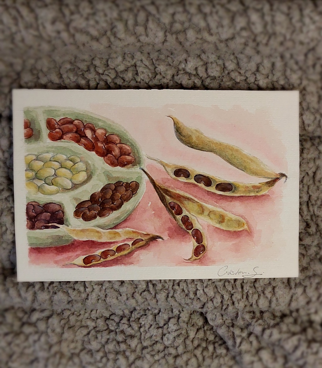 Ilustrație păstăi de fasole - arte vizuale și accesorii  - picturi - acuarele picturi - Artynos.ro