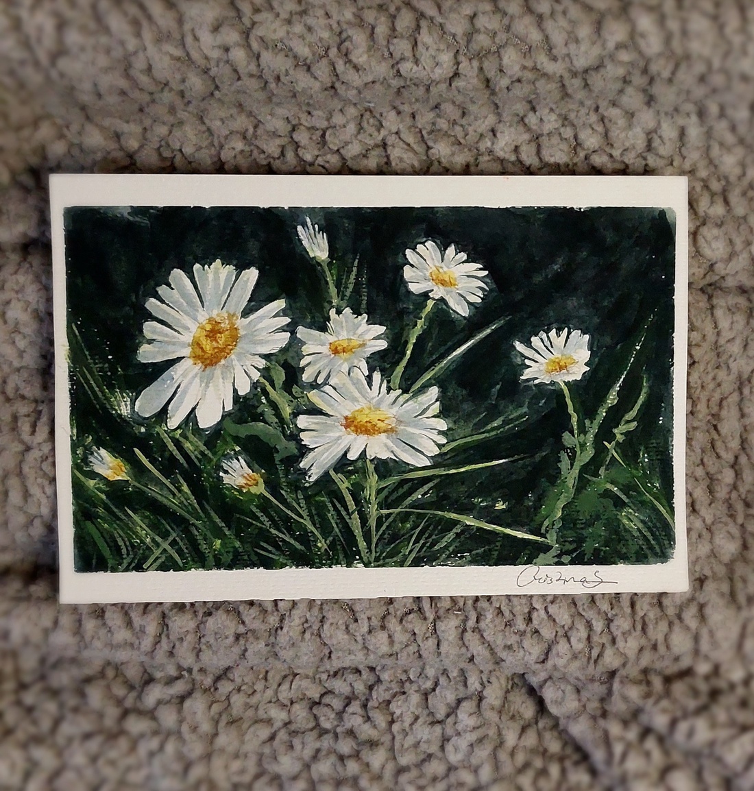 Flori de câmp  - arte vizuale și accesorii  - picturi - acuarele picturi - Artynos.ro