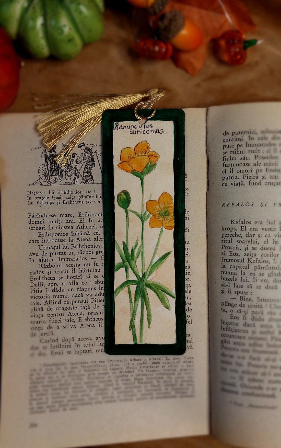 Semn de carte handmade-botanical - cărți și creații cu tematică muzicală, cadouri - semn de carte - Artynos.ro