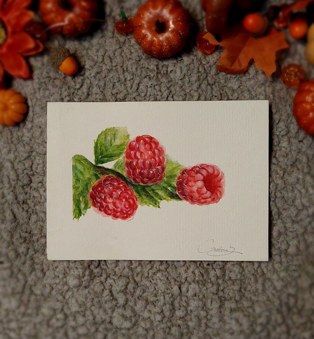 Ilustratie zmeura - arte vizuale și accesorii  - grafică, ilustrație - alte desene - Artynos.ro