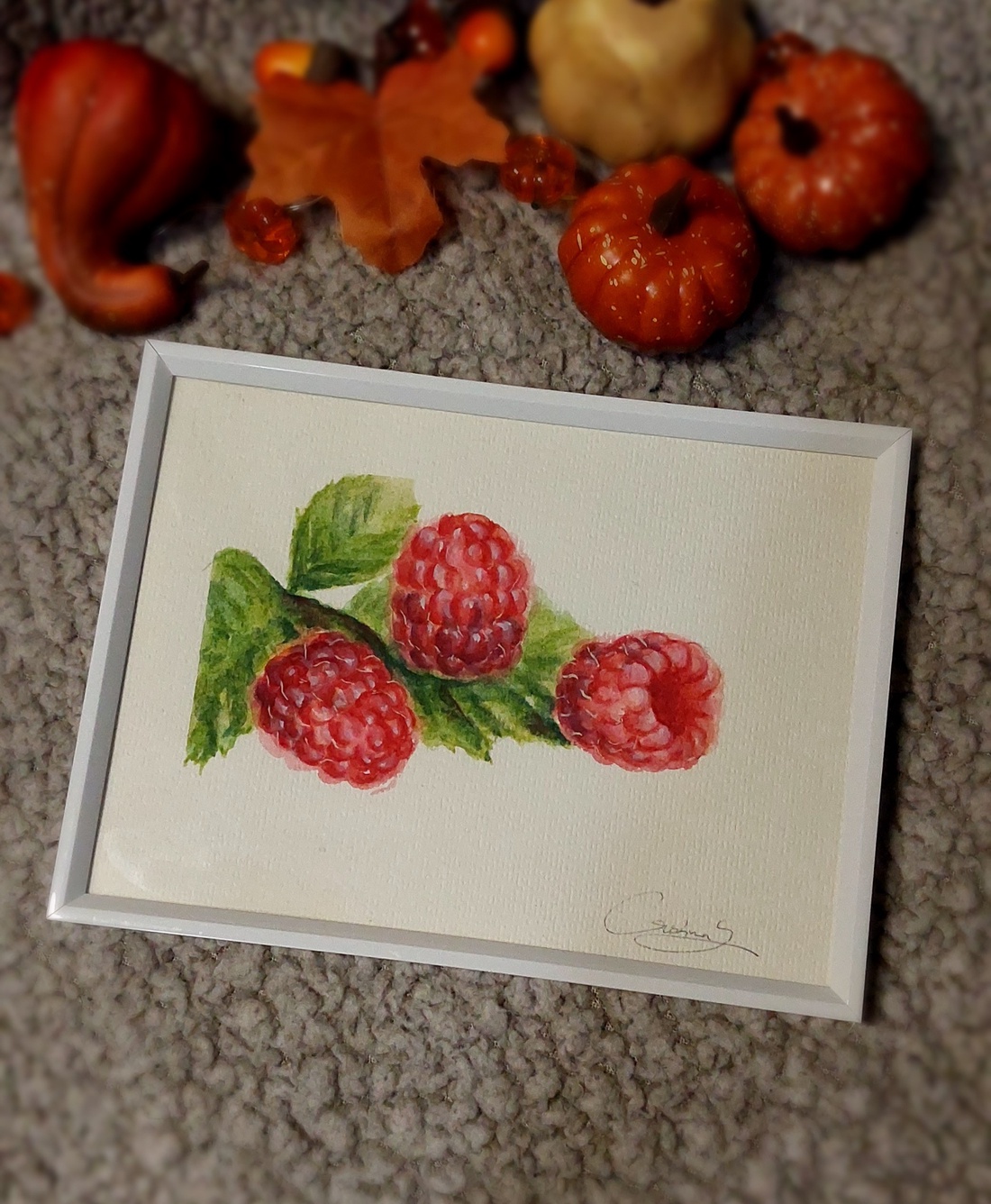Ilustratie zmeura - arte vizuale și accesorii  - grafică, ilustrație - alte desene - Artynos.ro
