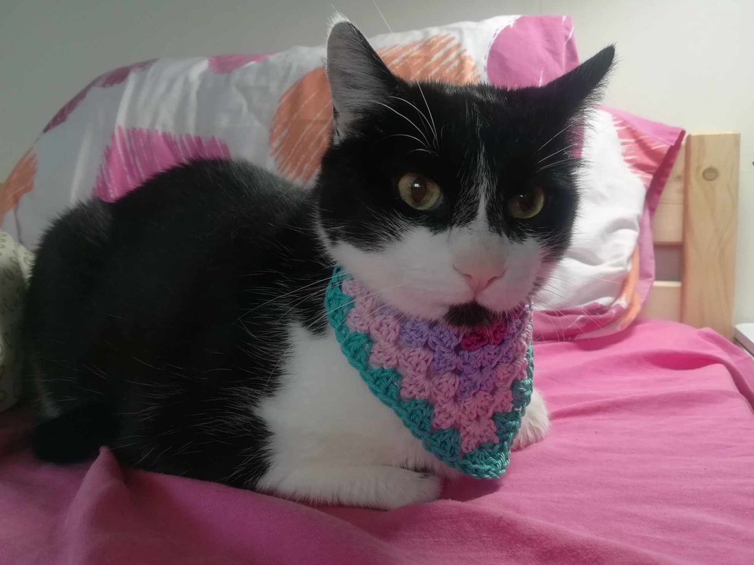 Bandana crosetata - casă & stil de viață - accesorii pentru animale - paturi și echipamente câini - colier de câine, set de lesă - Artynos.ro Bandana crosetata - casă & stil de viață - accesorii pentru animale - paturi și echipamente câini - colier de câine, set de lesă - Artynos.ro
