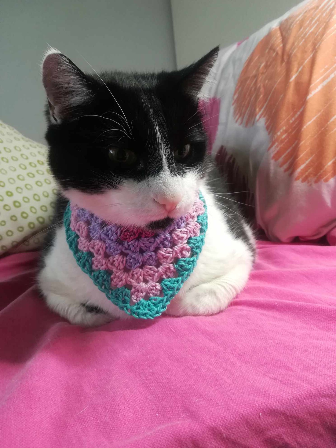 Bandana crosetata - casă & stil de viață - accesorii pentru animale - paturi și echipamente câini - colier de câine, set de lesă - Artynos.ro Bandana crosetata - casă & stil de viață - accesorii pentru animale - paturi și echipamente câini - colier de câine, set de lesă - Artynos.ro