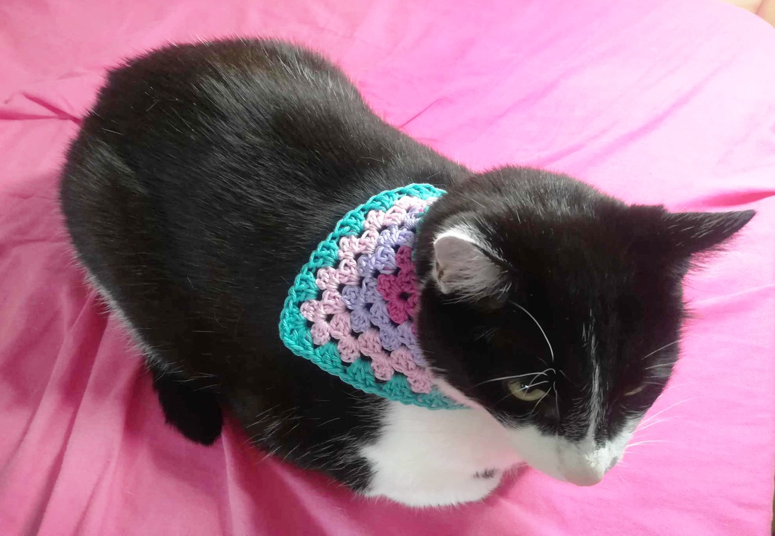 Bandana crosetata - casă & stil de viață - accesorii pentru animale - paturi și echipamente câini - colier de câine, set de lesă - Artynos.ro Bandana crosetata - casă & stil de viață - accesorii pentru animale - paturi și echipamente câini - colier de câine, set de lesă - Artynos.ro