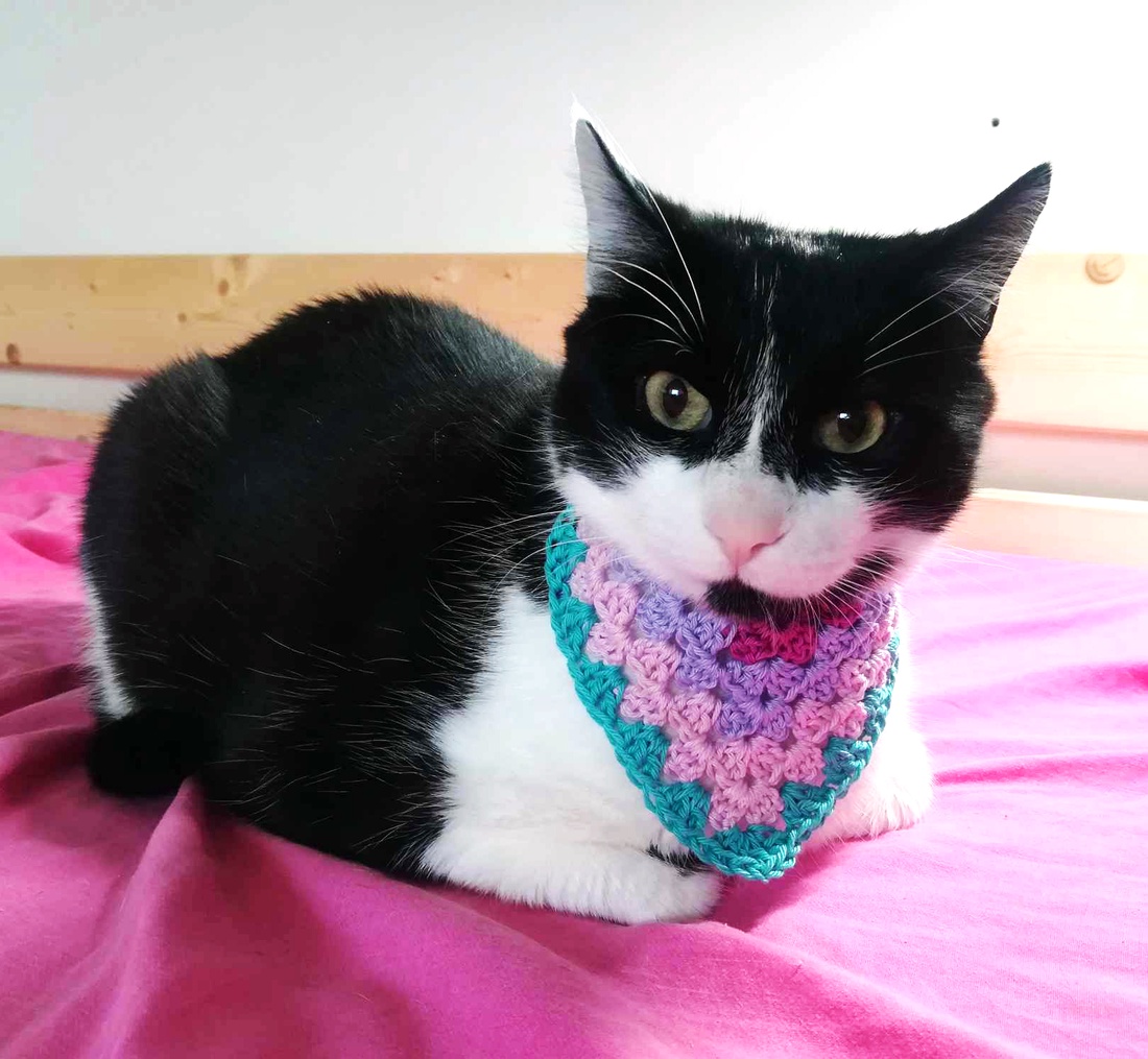 Bandana crosetata - casă & stil de viață - accesorii pentru animale - paturi și echipamente câini - colier de câine, set de lesă - Artynos.ro Bandana crosetata - casă & stil de viață - accesorii pentru animale - paturi și echipamente câini - colier de câine, set de lesă - Artynos.ro