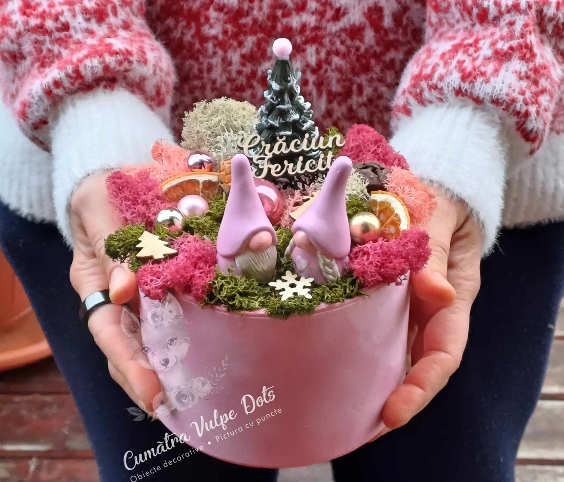 Decorațiune de iarnă cu licheni -  cu doi gnomi și brăduț în cutie de catifea - crăciun - cadouri de moș crăciun - decor cu moș crăciun - Artynos.ro