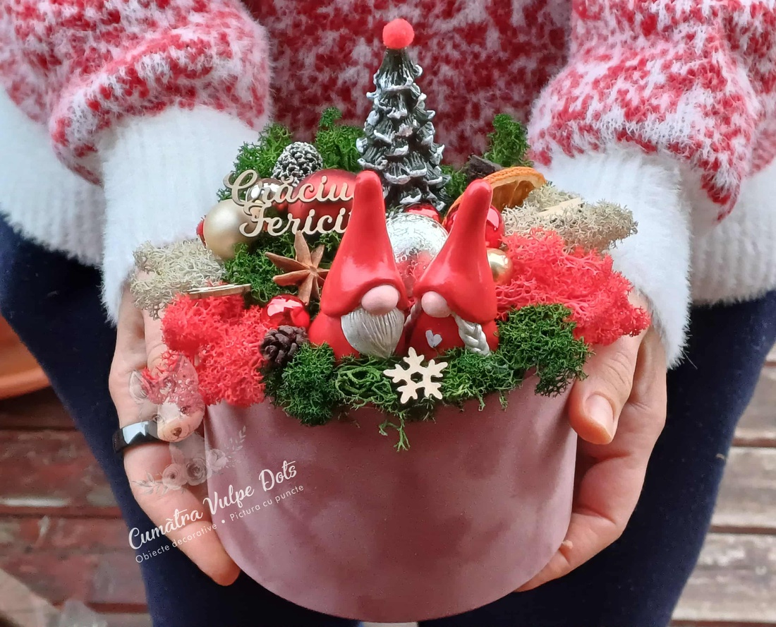 Decorațiune de iarnă cu licheni -  cu doi gnomi și brăduț în cutie de catifea - crăciun - cadouri de moș crăciun - decor cu moș crăciun - Artynos.ro