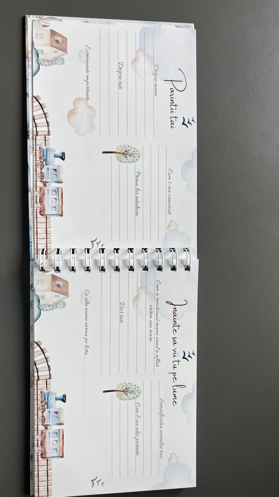 Jurnalul bebelușului- agenda cu amintirile bebelusului din primul an de viata, 78 de pagini - casă & stil de viață - produse de papetărie - albume foto - Artynos.ro
