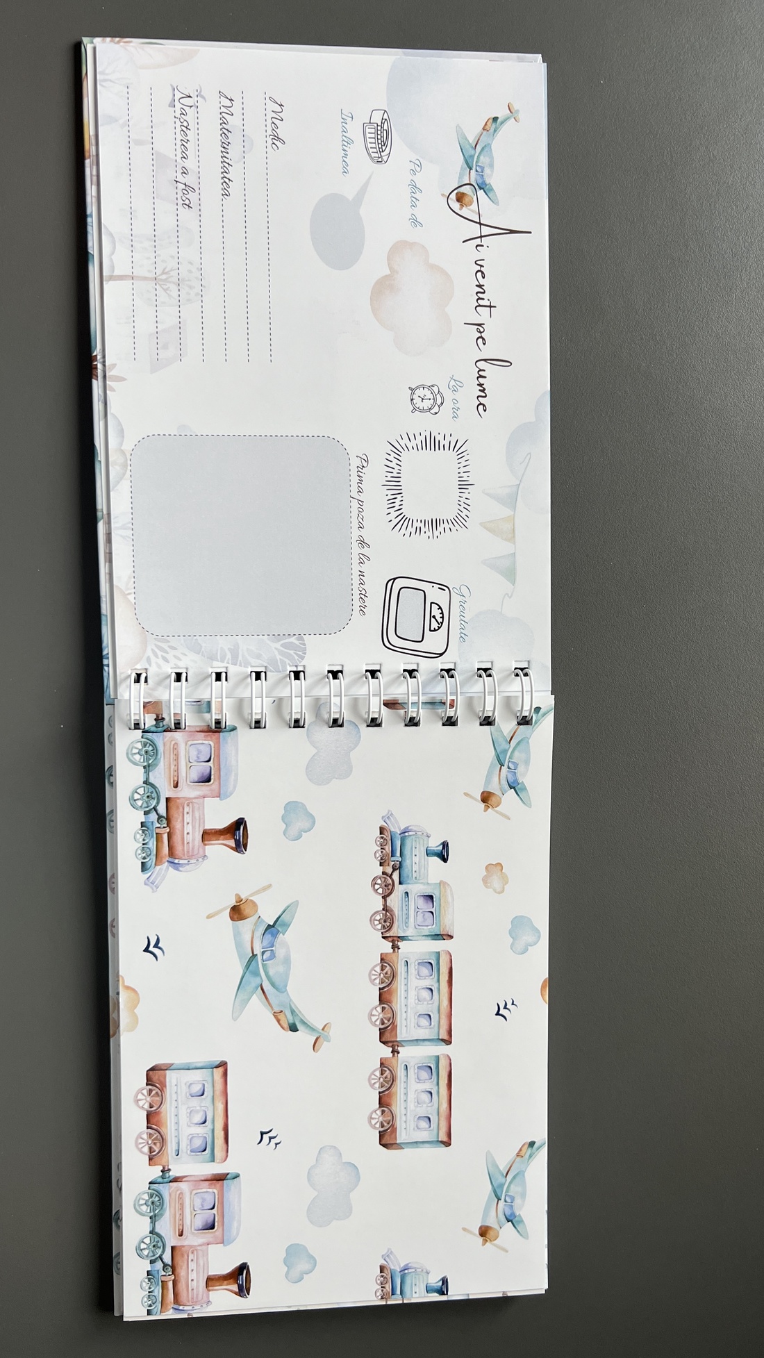 Jurnalul bebelușului- agenda cu amintirile bebelusului din primul an de viata, 78 de pagini - casă & stil de viață - produse de papetărie - albume foto - Artynos.ro